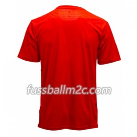 Fußballtrikots Iran Auswärts Trikotsatz WM 2018